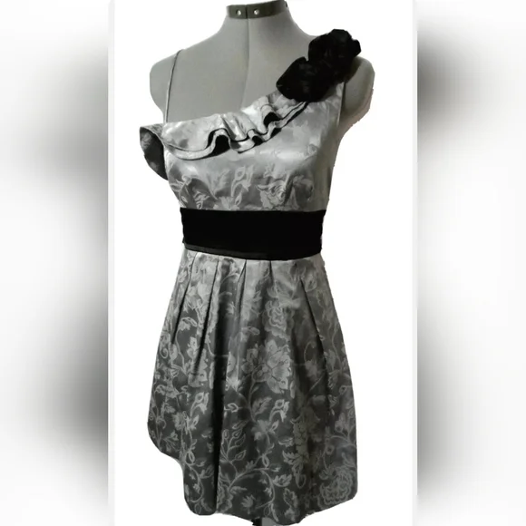 speechless silver dress Speechless Glitter Finish Sleeveless Womens Dress Plus Size 24 NWT Salmon Silver